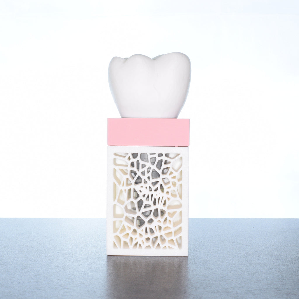 Dental Implant Demonstration Kit (big kit)