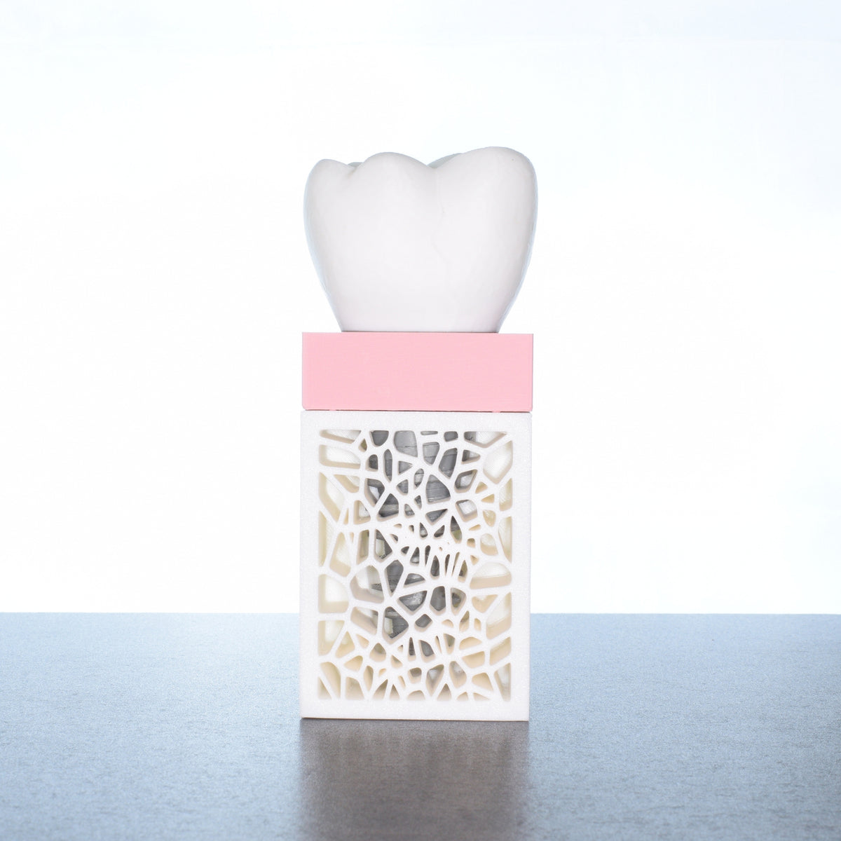 Dental Implant Demonstration Kit (big kit)