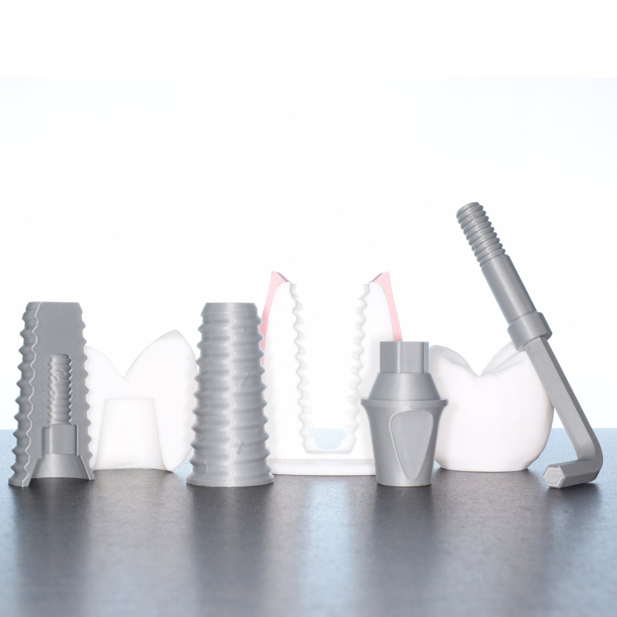 Dental implant model